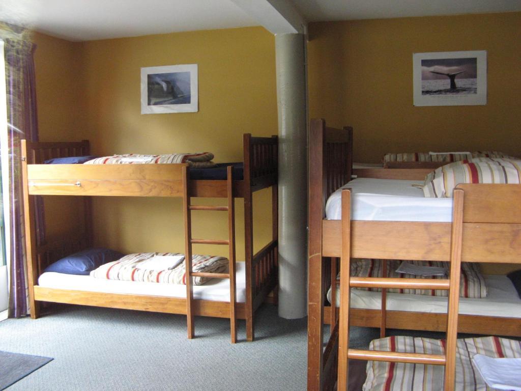 Mountain House Hostel Arthur's Pass Room photo